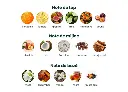 Piramida-parfum-Nectar-1024x737.webp