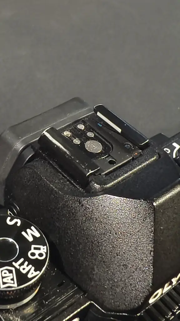 E-M10MK4-2.webp