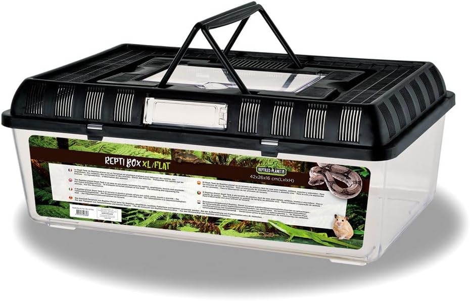 Reptiles Planet - Repti Box XL - Cutie de transport din plastic cu capac detasabil - 42 x 26 x 16 cm