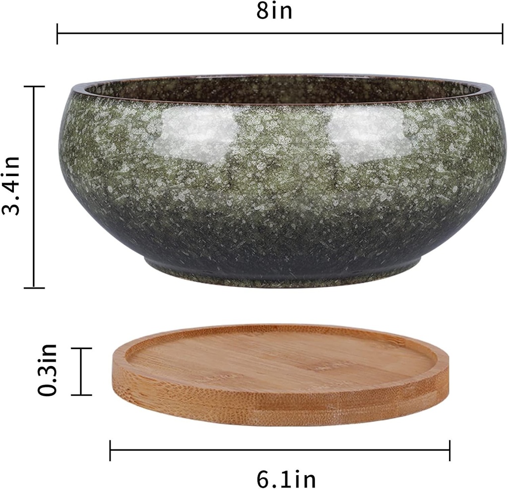Ghiveci ceramic EPFamily Bonsai, glazurat, putin adanc, ghiveci suculent cu orificiu de drenaj si farfurie din bambus pentru plante de apartament, 20,3 cm, verde