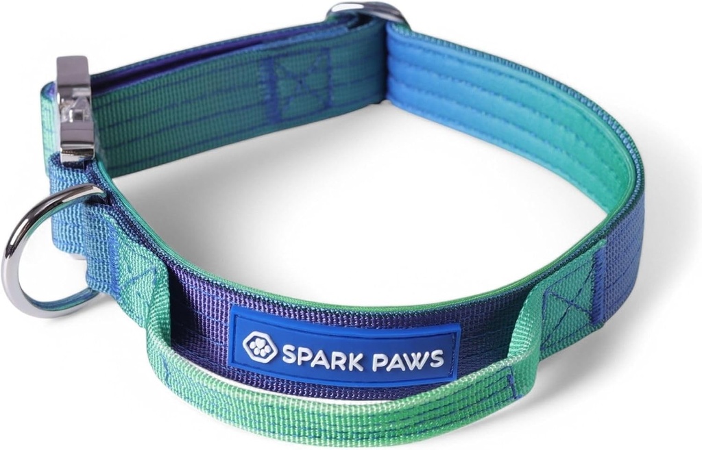 Zgarda tactica pentru caini Spark Paws – Robusta, de calitate premium, groasa si durabila pentru caini de talie mare si medie - Lime Wave - L, 5 cm