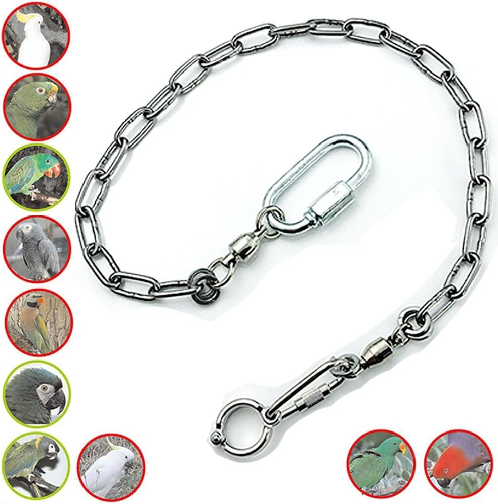 Lant de picior pentru papagal din otel inoxidabil ebamaz pentru pasari mici, medii si mari, pentru dresajul animalelor de companie (nr. 12 (11,5 mm))