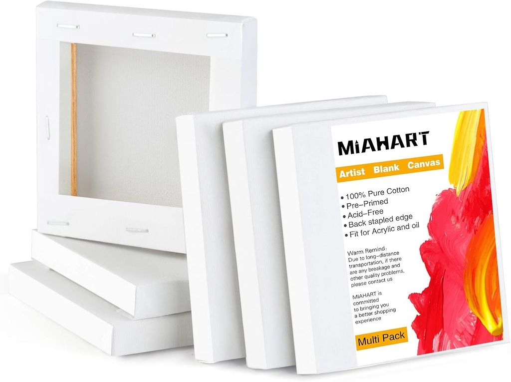 MIAHART 6 buc. Panza mini intinsa 4"x4" Panza alba goala 10x10cm Panza artistica pentru pictura si decorare cu ulei acrilic (10x10cm)