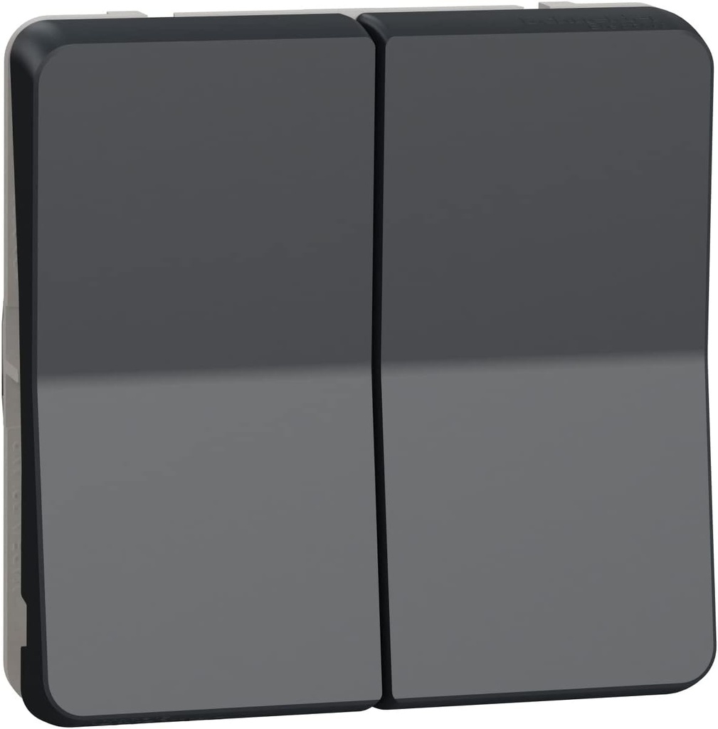 Schneider Electric - Mureva Styl - Buton dublu - modular - IP55 - IK07 - Gri - MUR35326