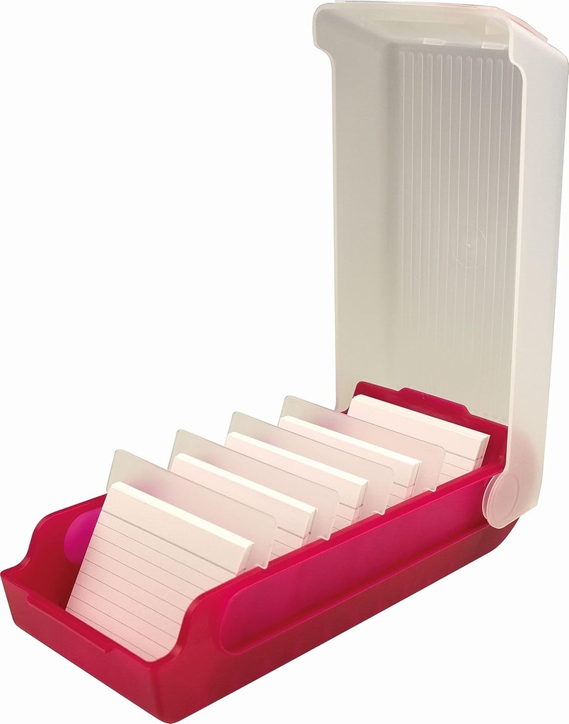 helit H6901025 - Cutie pentru fisa ,,the beebox" DIN A8 peisaj, zmeura, flashcard si cutie de depozitare