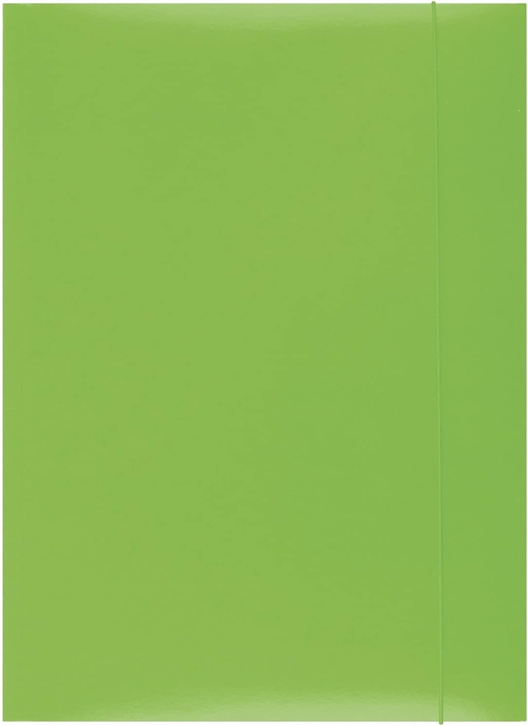 PRODUSE DE BIROU 21191131-02 Dosar cu banda elastica carton, A4, gramaj 300 g/m², 3 clape, verde