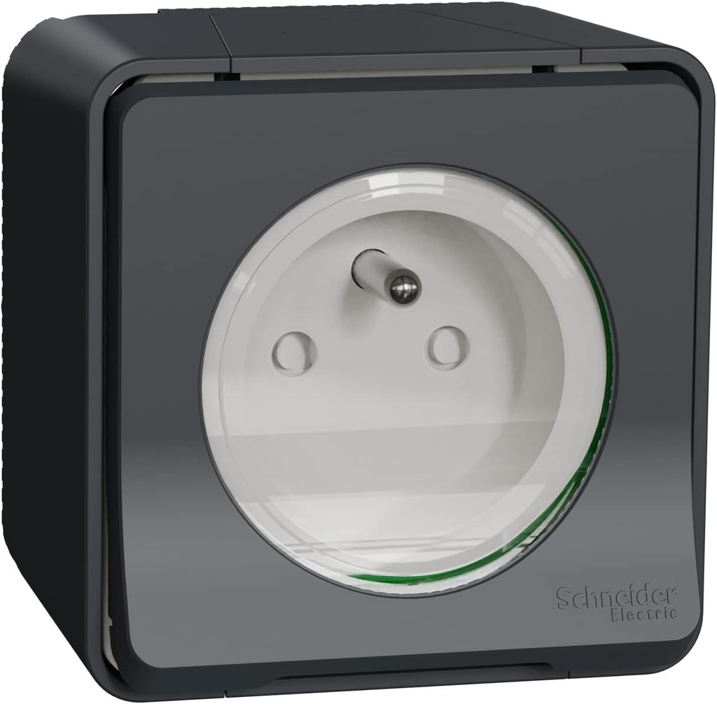 Priza Schneider Electric French 2P montata la suprafata, 1 cale, interior si exterior, gri, 2 poli / 16A