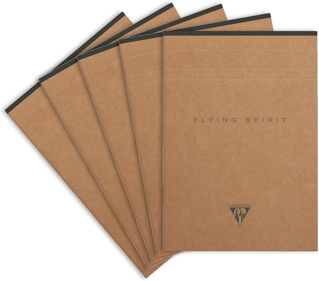 Clairefontaine - 107636C - Bloc de notite cu antet Flying Spirit, A5 (14,8 x 21 cm), 140 pagini liniate detasabile, hartie ivory 90g, coperta cartonata gri-verde, 5 modele imprimate pe verso, livrare aleatorie