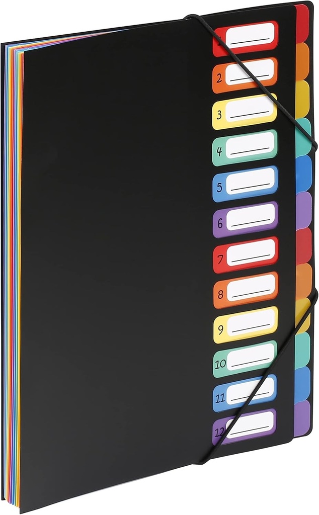 Dosar tip acordeon Viquel Rainbow Class cu 12 compartimente din plastic - Buzunar extensibil pentru arhivarea si transportul documentelor - Depozitare hartie A4