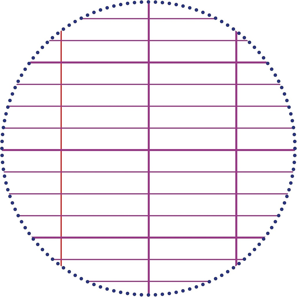 Caiet spiralat Clairefontaine 8937C pentru exercitii practice - A4 21x29,7 cm - 80 de pagini: patrate mari 90 g/m² si alb simplu 125 g/m² - coperta cartonata laminata - culoare aleatorie