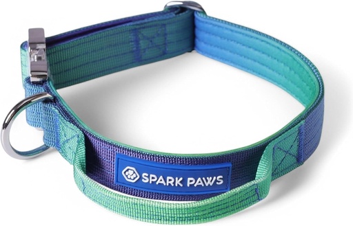 Zgarda tactica pentru caini Spark Paws – Robusta, de calitate premium, groasa si durabila pentru caini de talie mare si medie - Lime Wave - L, 5 cm