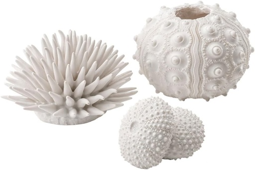 Set biOrb 48364 Arici de Mare, Alb - Cutii artificiale pentru arici de mare, pentru decorarea acvariului, fabricate din plastic de inalta calitate, cu multe detalii | Potrivite pentru acvarii de apa dulce si marina