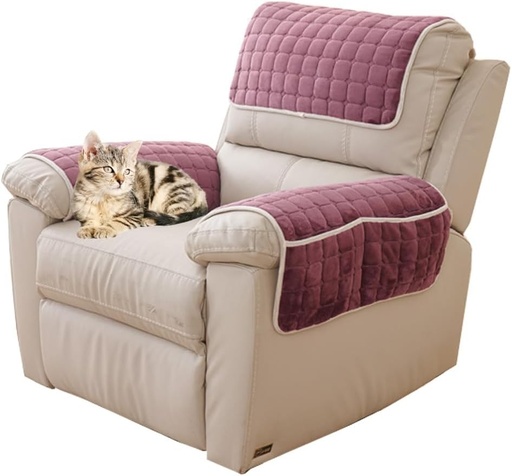 Husa pentru cotiera canapelei, husa antiderapanta pentru fotoliu, tetiera, husa de protectie pentru canapea cu buzunar lateral, protector de mobilier potrivit pentru animale de companie, canapea din piele, canapea (bej, spatar cu 1 loc)