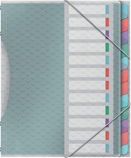 Dosar de proiecte Esselte A4 cu 12 clapete, dosar cu separatoare pentru organizarea pe birou și depozitarea documentelor de proiect, cu clapete și bandă elastică, seria Colour'Breeze, multicolor, 626256