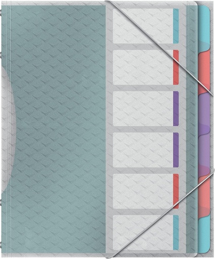 Dosar Esselte cu 6 separatoare, A4, organizator de documente fără acid, mâneci transparente din plastic, acasă/birou, model în relief, gamă Colour'Breeze, multicolor, 626255