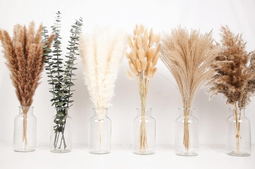 110 bucăți Pampas