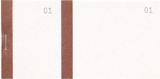 Exacompta - Ref. 96301E - Pachet 10 tampoane vanzator 100 coli numerotate de la 1 la 100 - 2 cupoane 1 detasabil - Pentru targuri, loterie, tombola - Format 6,6 x 13,5 cm - banda colorata - Bistre