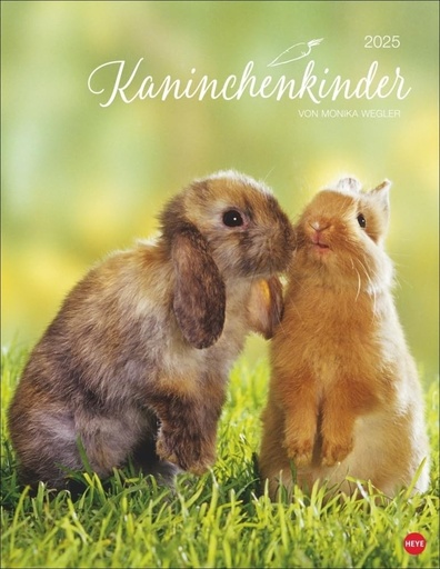 Calendarul afiselor Rabbit Kids 2025: de Monika Wegler. Un calendar feeric de animale cu fotografii dulci. Un calendar decorativ pentru iubitorii de animale. Format portret 34 x 44 cm.