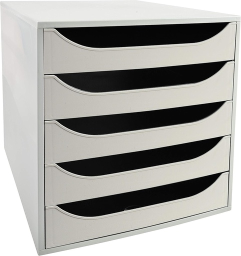 Exacompta - Ref. 229606D - ECOBOX + modul sertar economic - Unitate individuală cu 5 sertare pentru documente A4 și A4+ - certificat Blue Angel - Dimensiuni 34,8 x 28,4 x 29 cm - Culoare gri