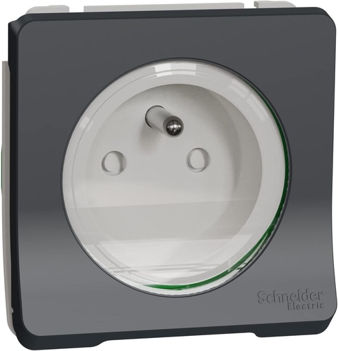 Schneider Electric - Mureva Styl - priza cu surub 2P+T - modulara - IP55 - IK08 - Gri - MUR38030